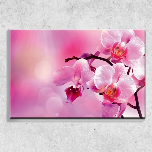 Foto na plátně Orchidej 90x60 cm