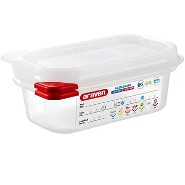 ARAVEN gn 1/9 - 176 x 108 mm s víkem             (3020)