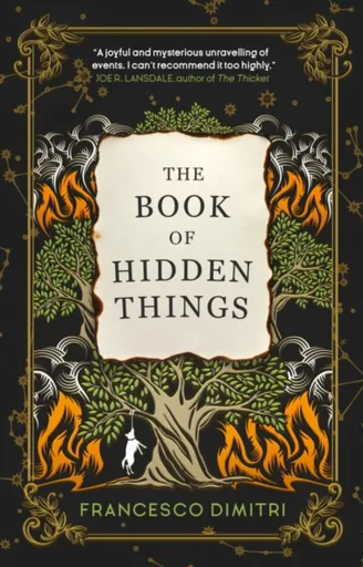 The Book of Hidden Things - Francesco Dimitri