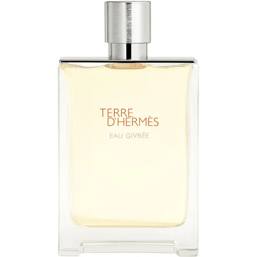 HERMÈS Terre d’Hermès Eau Givrée parfémovaná voda plnitelná pro muže 175 ml