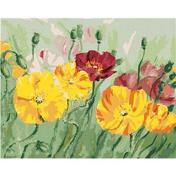 Zuty - Malování podle čísel - BAREVNÝ VLČÍ MÁK, 80x100 cm, vypnuté plátno na rám (HRAmmb08443nad)