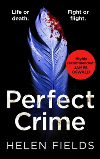 Perfect Crime - Helen Fields