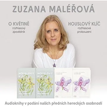 O květině & Houslový klíč ()