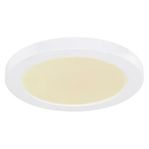 GLOBO LASSE 12379-18W Stropní svítidlo