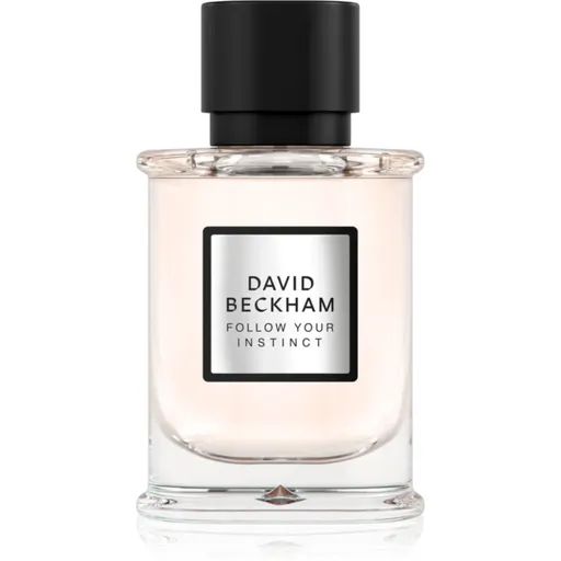 David Beckham Follow Your Instinct parfémovaná voda pro muže 50 ml