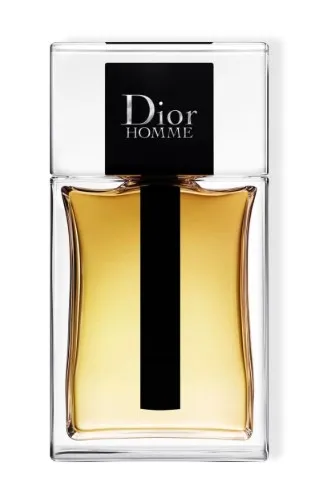 Dior Dior Homme 2020 - EDT 100 ml