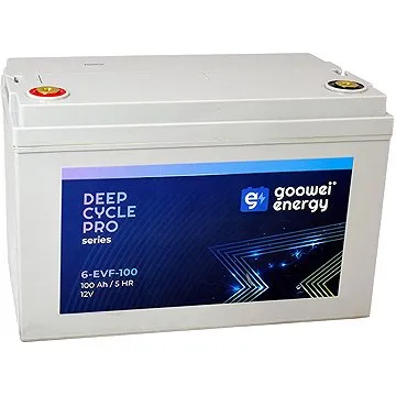 GOOWEI ENERGY 6-EVF-100, baterie 12V, 100Ah, ELECTRIC VEHICLE (6-EVF-100)