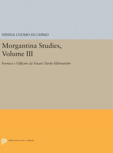 Morgantina Studies, Volume III - Ninina Cuomo di Caprio