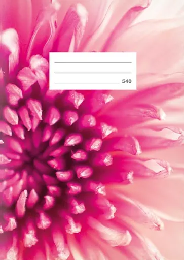 Školní sešit LUX A5 540