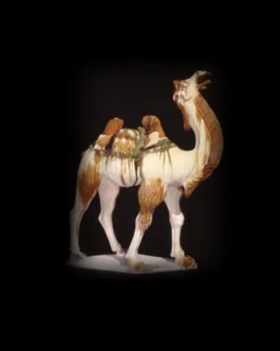 Silk Roads - Tim Williams, Sue Brunning, Luk Yu-ping, Elisabeth R. Oâ€™Connell