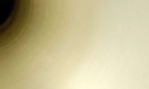 Edwards 336CF Satin Finish