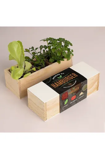 Sada na pěstování rostlin RESETEA Hamburger Growing Kit 21 x 7,8 x 6,5 cm