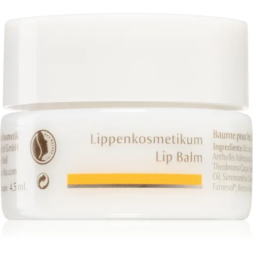 Dr. Hauschka Eye And Lip Care balzám na rty s vyživujícím účinkem 4.5 ml