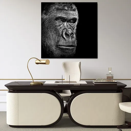 Obraz Gorilla (Rozměr obrazu: 70x70)