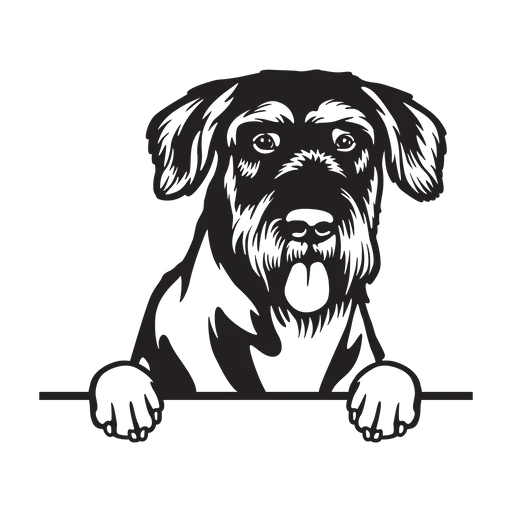 Vsepropejska Knírač 4 dřevěná dekorace na zeď