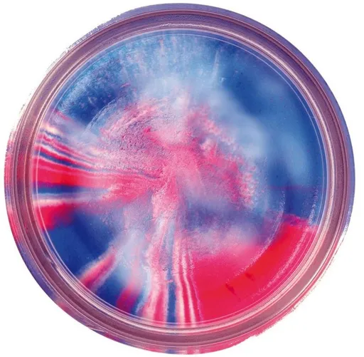 Berkley těsto na pstruhy natural glitter troutbait česnek - třpytivá captain america