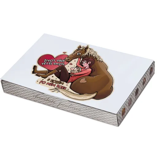 Bonboniera Život dává smysl s koněm