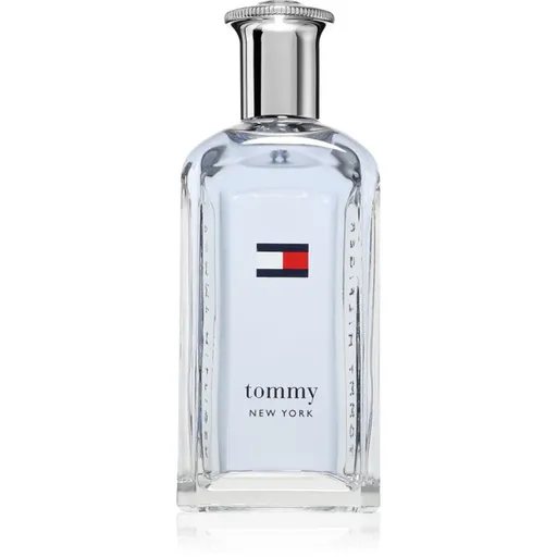 Tommy Hilfiger NEW YORK toaletní voda pro muže 100 ml