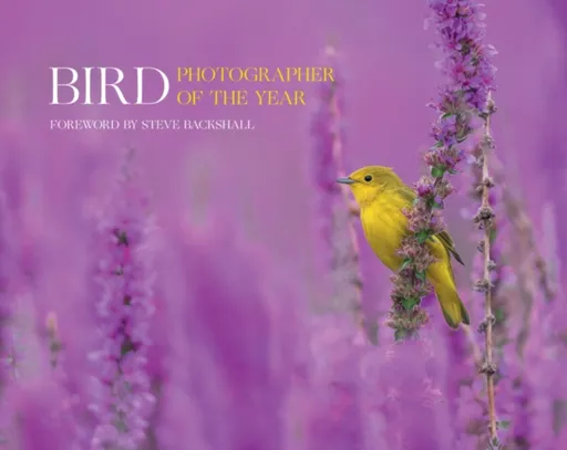 Bird Photographer of the Year - Bird Photographer of the Year