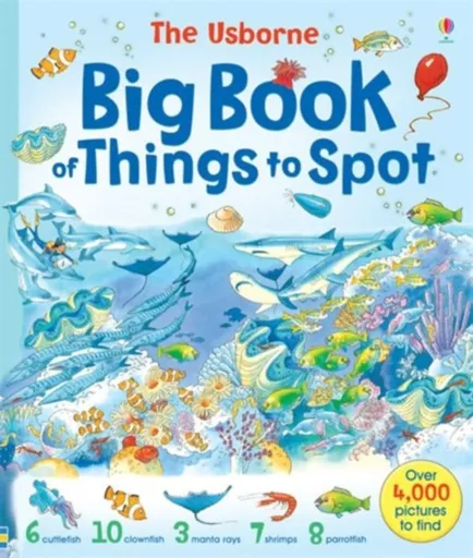 Big Book of Things to Spot - Gillian Doherty, Anna Milbourneová, Ruth Brocklehurst