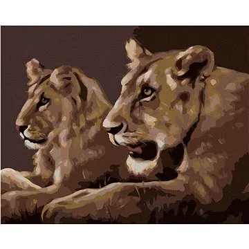 Zuty - Malování podle čísel - MLADÍ LVI (D. RUSTY RUST), 80x100 cm, vypnuté plátno na rám (HRAmmb02477nad)