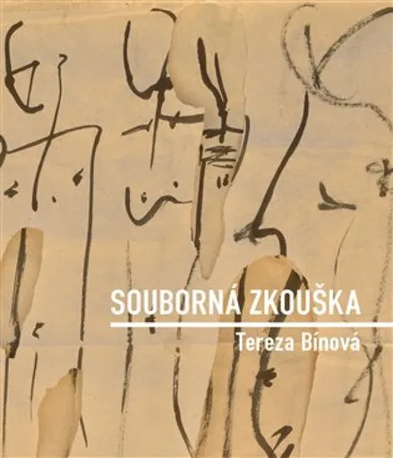 Souborná zkouška - Tereza Bínová