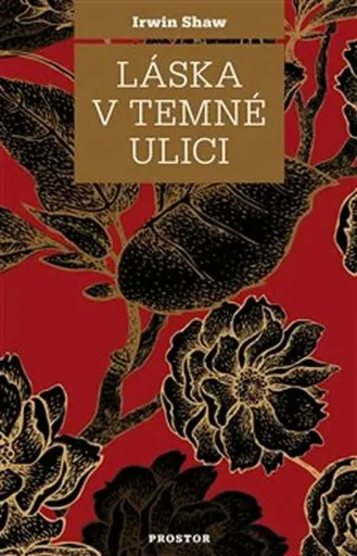 Láska v temné ulici - Irwin Shaw