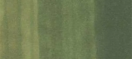 Copic sketch marker - G99 olive