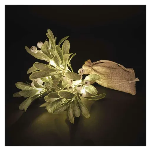 EMOS LED dekorace - větvička jmelí, 2x AA, teplá bílá, časovač DCTW29