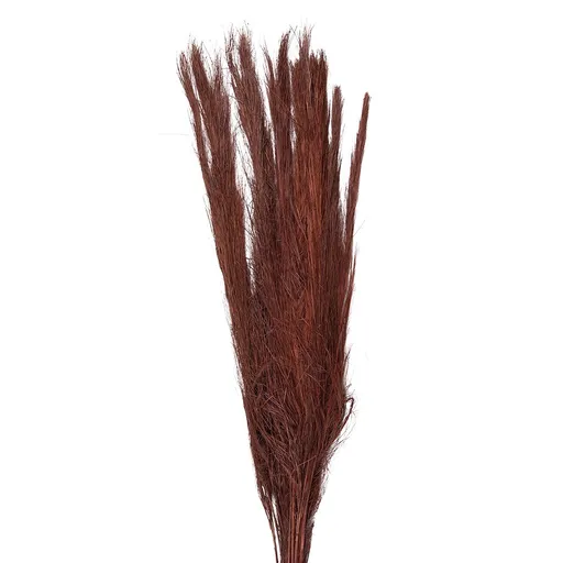 Vínová sušená kytice - 10*5*85 cm Clayre & Eef