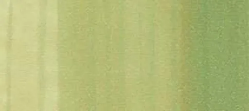 Copic classic marker – G82 Spring Dim Green