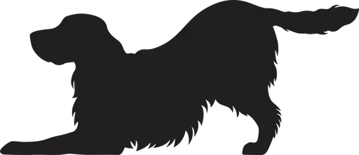 Vsepropejska Anglický špringeršpaněl dřevěná dekorace na zeď Rozměr (cm): 16 x 38