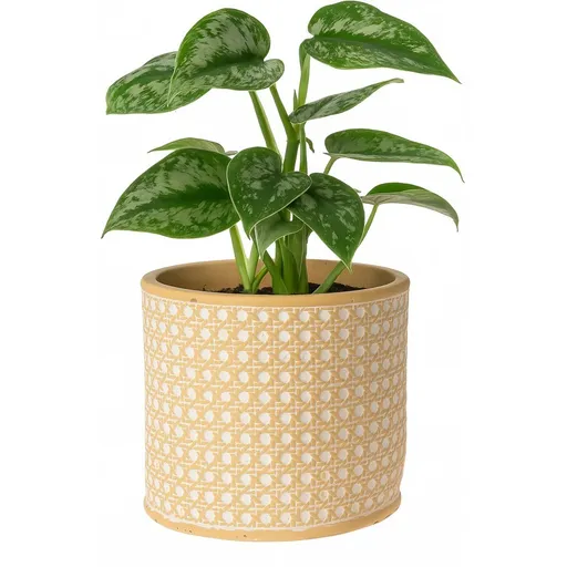 Obal na květináč Landon, 14 x 13 cm, beton