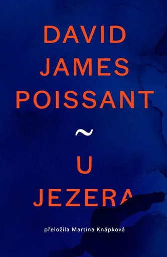 U jezera - David James Poissant
