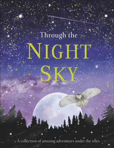 Through the Night Sky - DK