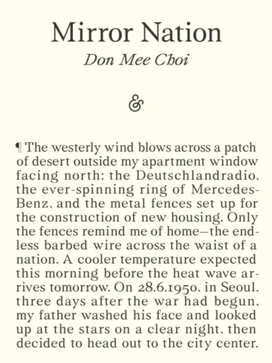 Mirror Nation - Don Mee Choi