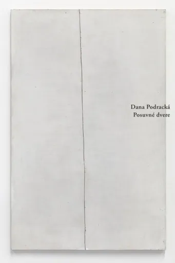 Posuvné dvere - Dana Podracká