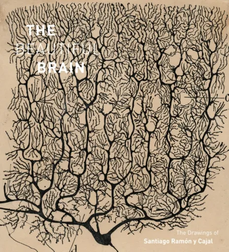 The Beautiful Brain - Alfonso Araque, Larry Swanson, Eric Newman