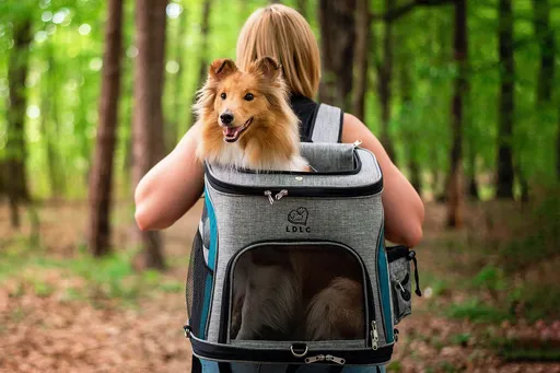 Smart šedo-modrý batoh pro psa | do 6 Kg Barva: Modrá, Dle váhy psa: do 6 kg