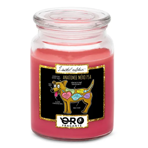 Svíčka Anatomie mého psa (Vůně svíčky: Višně v čokoládě)