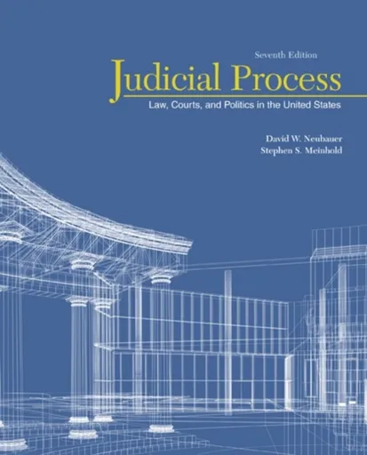 Judicial Process - David ) Neubauer, Stephen  Meinhold