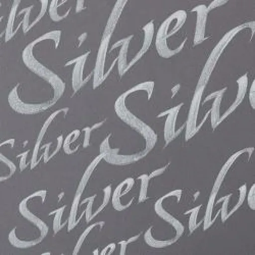 Kaligrafický inkoust W&N 30ml – 617 Silver