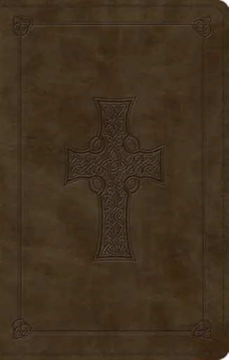 ESV Large Print Value Thinline Bible
