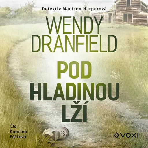 Pod hladinou lží - Wendy Dranfield - audiokniha