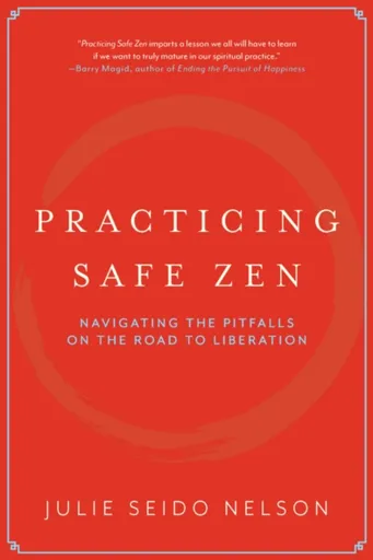 Practicing Safe Zen - Julie Seido Nelson