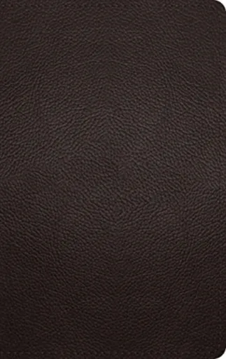 ESV Large Print Personal Size Bible, Red Letter