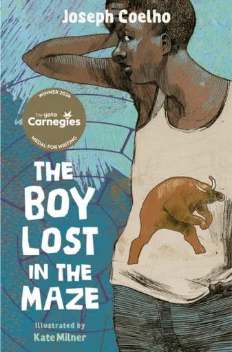 The Boy Lost in the Maze - Coelho Joseph
