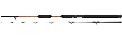 Wft prut never crack bank cat ii 2,7 m 200-1000 g