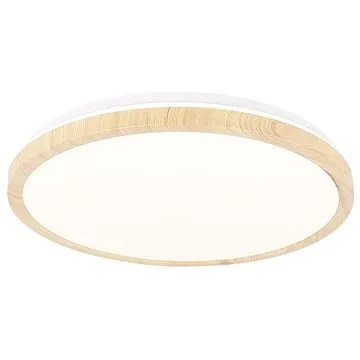 LED Stropní svítidlo GANDAVA LED/36W/230V (121662)