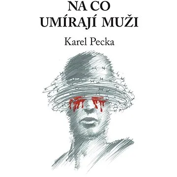 Na co umírají muži (978-80-88342-32-8)